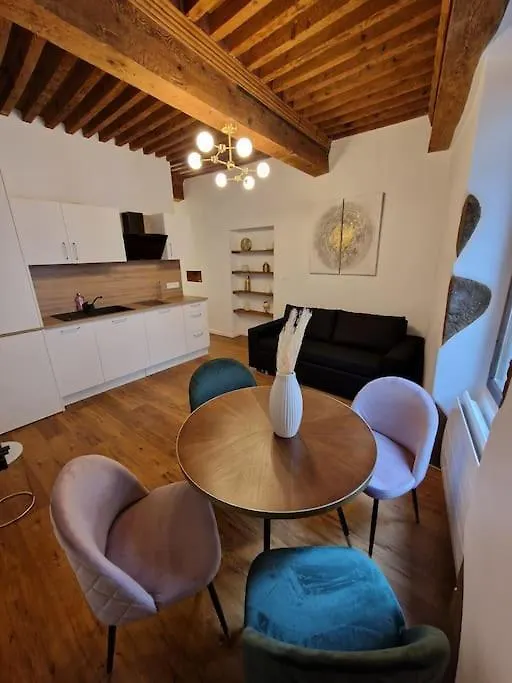 Cosy Appartment In Old Town, 2 Mins Walking Distance To Lake Annecy