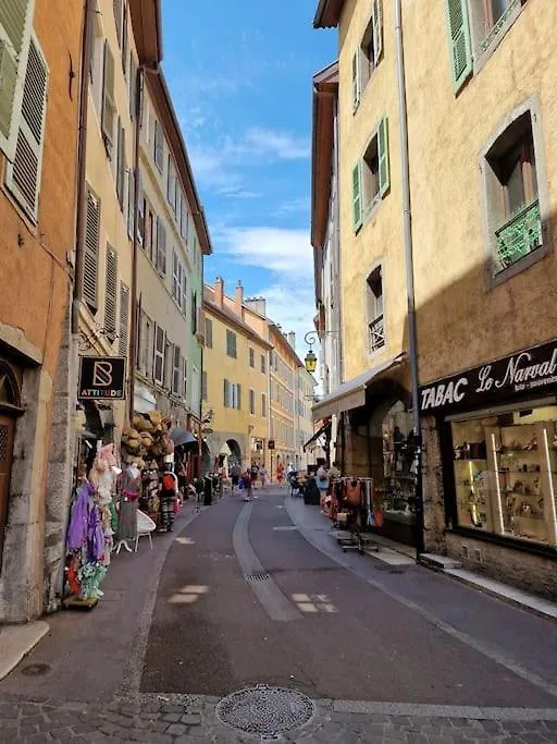 Appartement Cosy Appartment In Old Town, 2 Mins Walking Distance To Lake Annecy